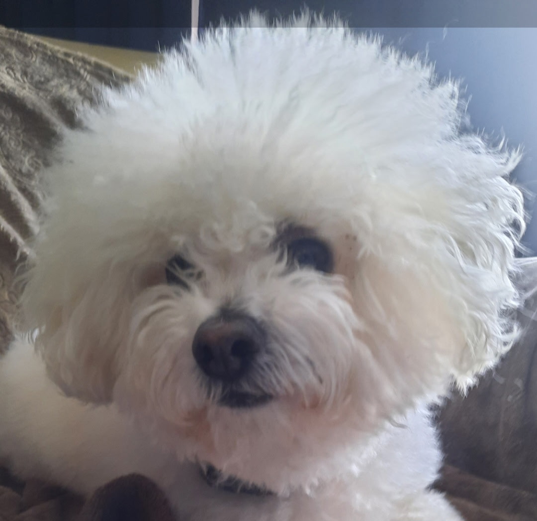 Charlie